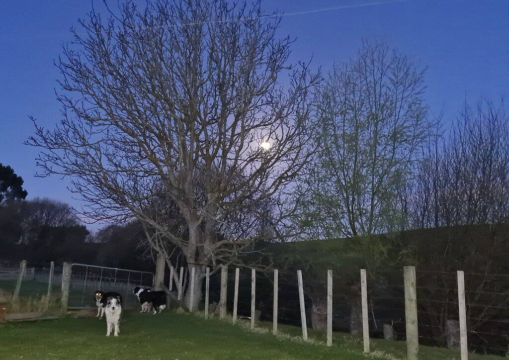 Ganze Wohnung, Ziehen Sie sich auf die Farm zurück und genießen Sie den einheimischen Busch und Bach. in Manawatu-Wanganui
