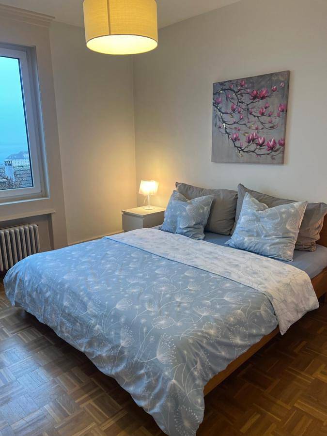 Appartement entier, Alpes Rez in Neuchâtel, Lake Neuchâtel