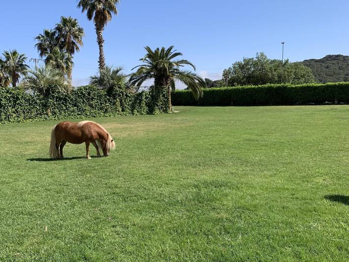 Casa rural para 18 personas, con Vistas al mar y Terraza además de Jardín y Piscina en Canet de Mar - 3