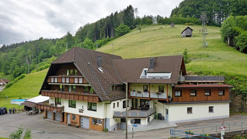 Ferienwohnung für 4 Personen, mit Sauna und Garten, kinderfreundlich in Bad Peterstal-Griesbach