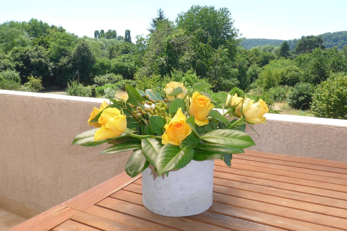 Ganze Ferienwohnung, S-Gästehaus 75 in Bezirk Halberg, Saarbrücken