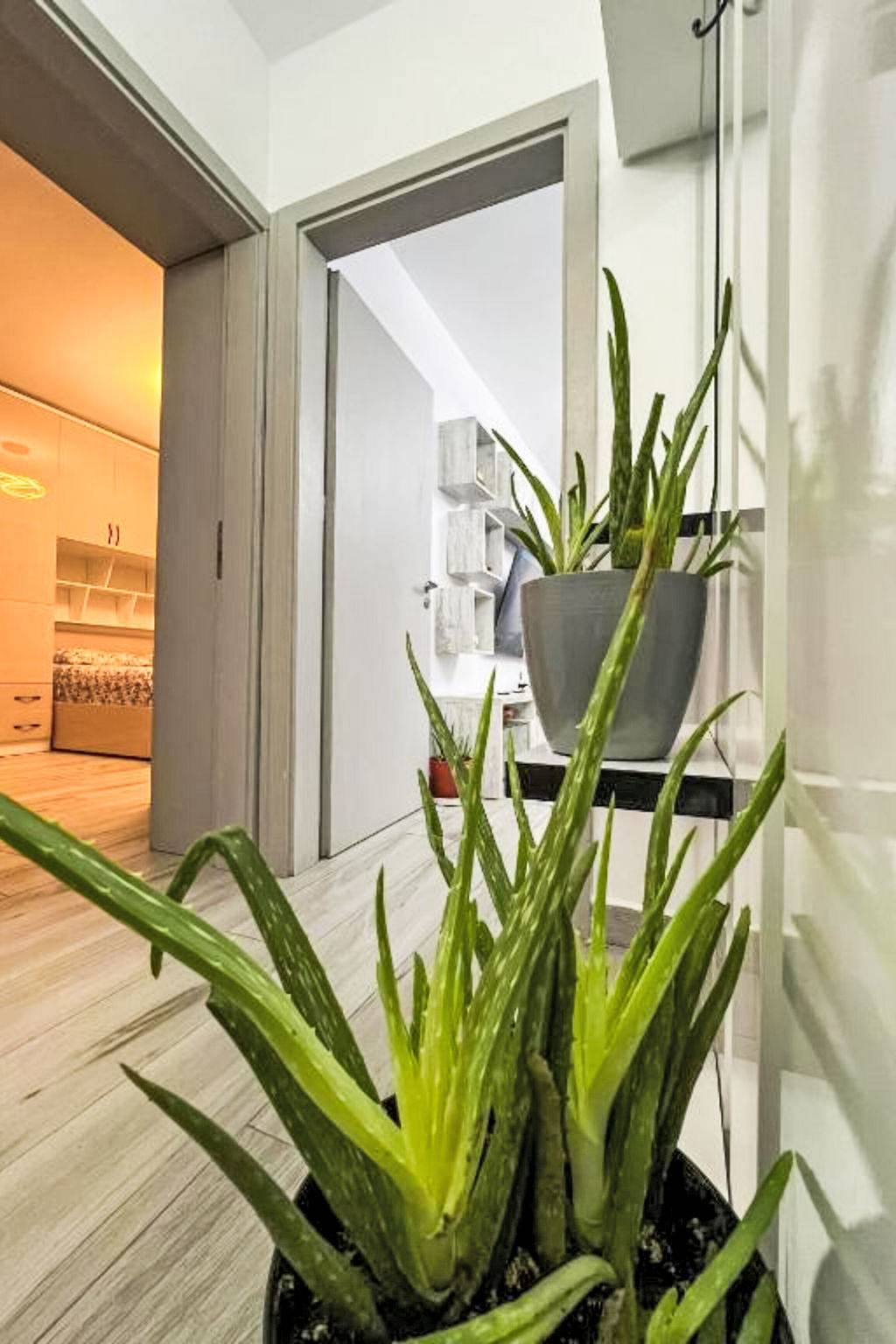 Ganze Wohnung, Montrix in Tiranë, Albanien