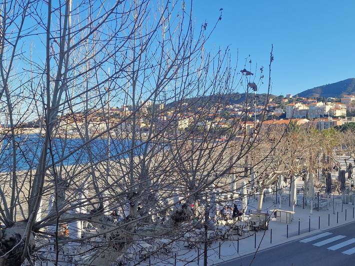 Gîte pour 4 personnes, avec Balcon à Banyuls-sur-Mer