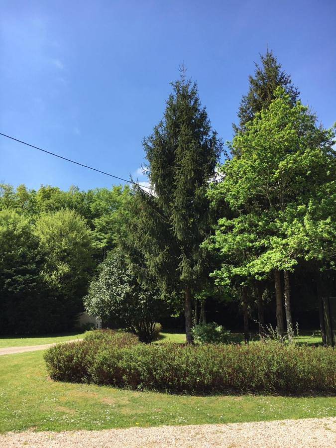 Location de vacances pour 14 personnes, avec piscine et jacuzzi ainsi que jardin et sauna à Saint-Martin-des-Champs (Yonne) - 2