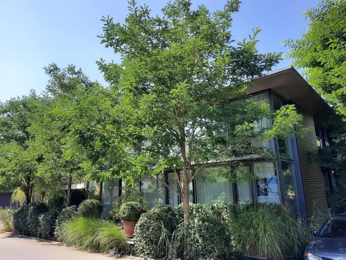 Ferienwohnung für 5 Personen, mit Balkon - 1