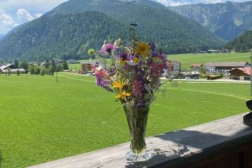 Bauernhof für 6 Personen, mit Garten am Achensee