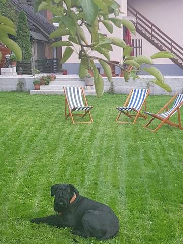 Gîte pour 6 personnes, avec jardin, animaux acceptés dans Mojstrana