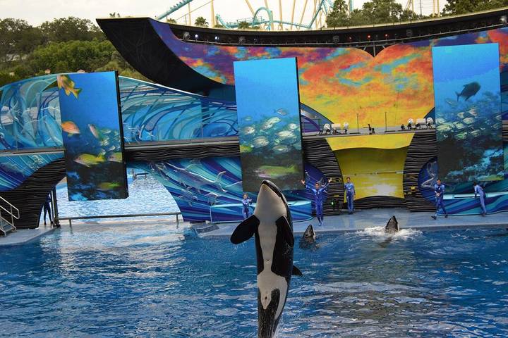 Barn for 8 people, with yard in Florida