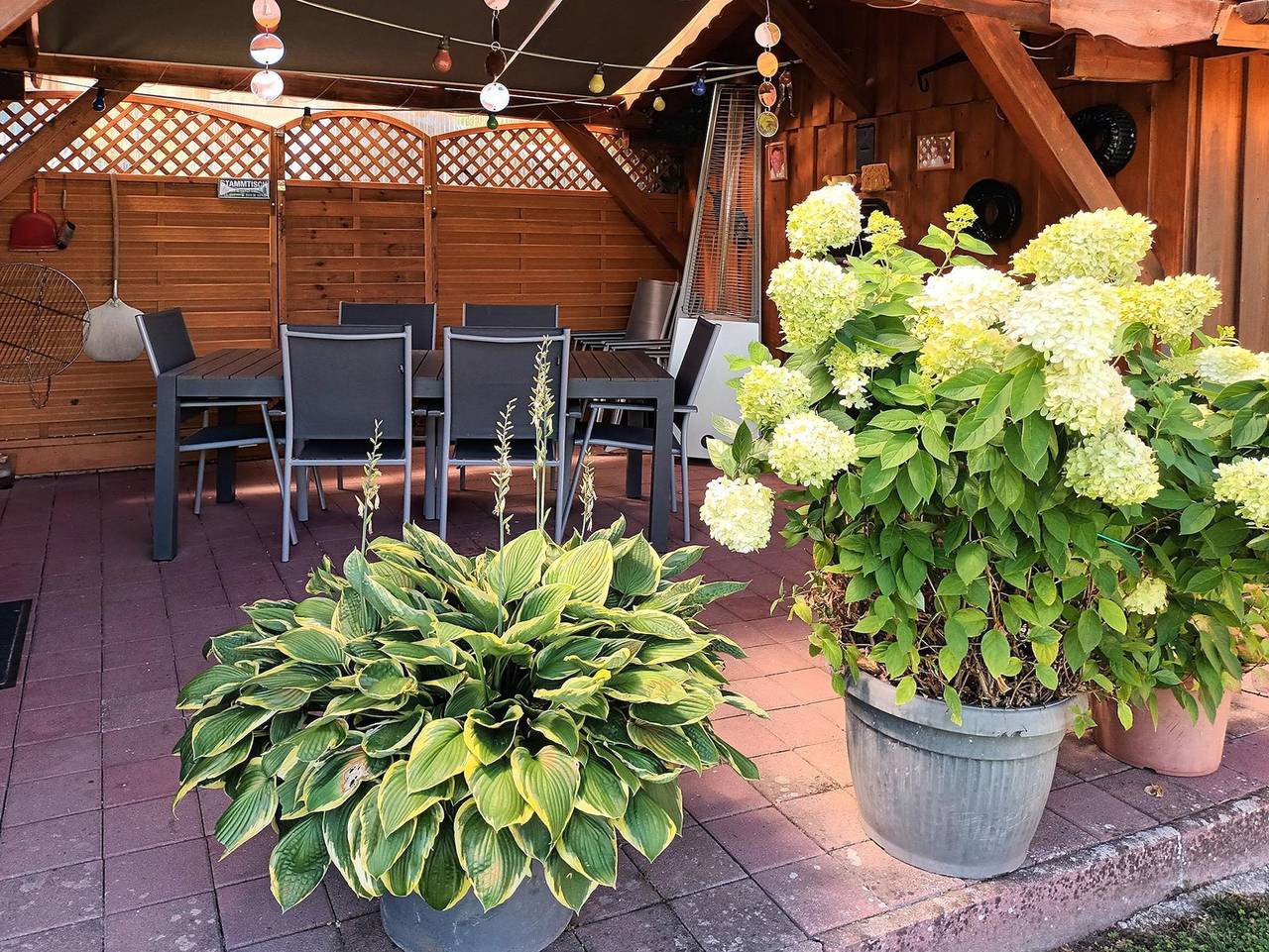 Ganze Ferienwohnung, Haus Petra - Kleine Ferienwohnung mit Balkon in Gleiszellen-Gleishorbach, Südliche Weinstraße