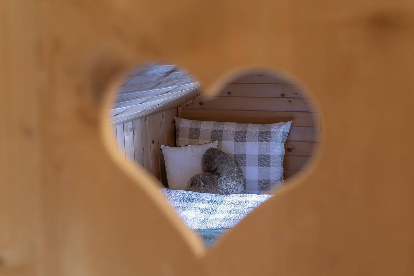 Maisäß Heimatliebe in Silbertal, Schruns-Tschagguns
