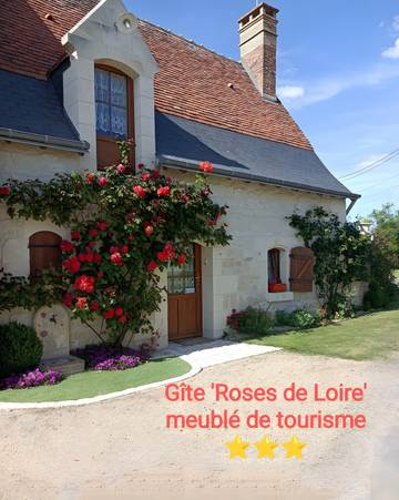 Location De Vacances pour 2 Personnes dans Bréhémont, Région de Chinon, Photo 1