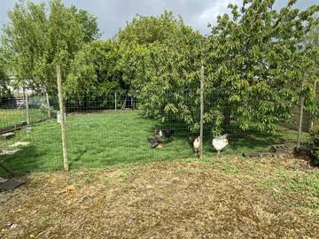 Maison De Vacances pour 8 Personnes dans Heers, Limbourg (Belgique), Photo 2