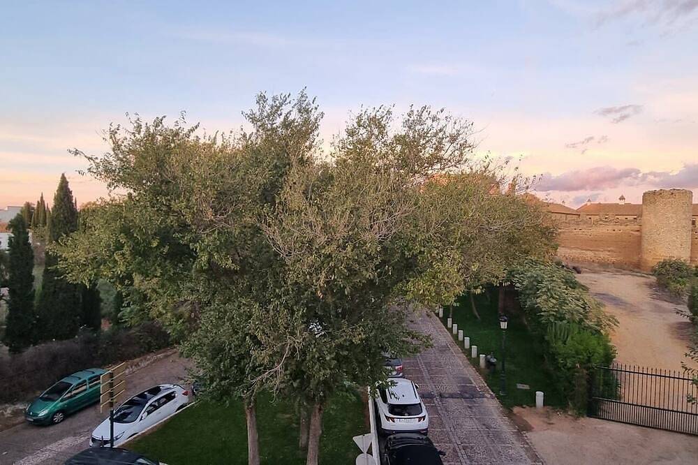 Hidden gem of Carmona in Carmona, Sevilla Province