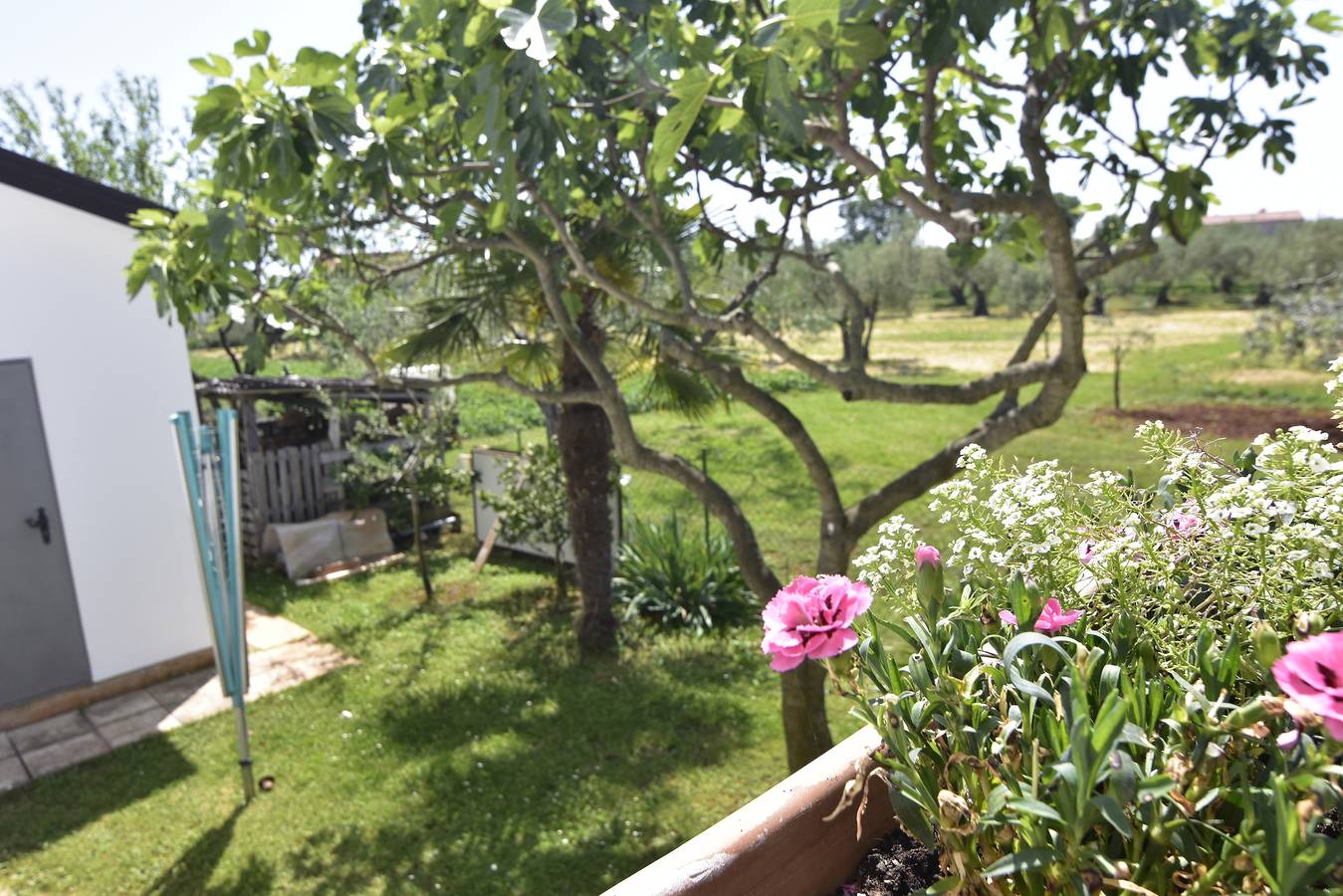 Cijeli apartman, Studio apartman Sveti Ivan, Umag As-22472-a in Umaška regija