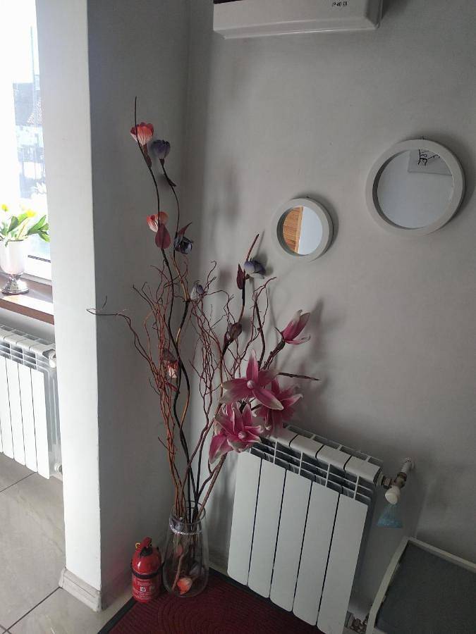 Cały apartament, Studio with Sofa Bed in Mamry