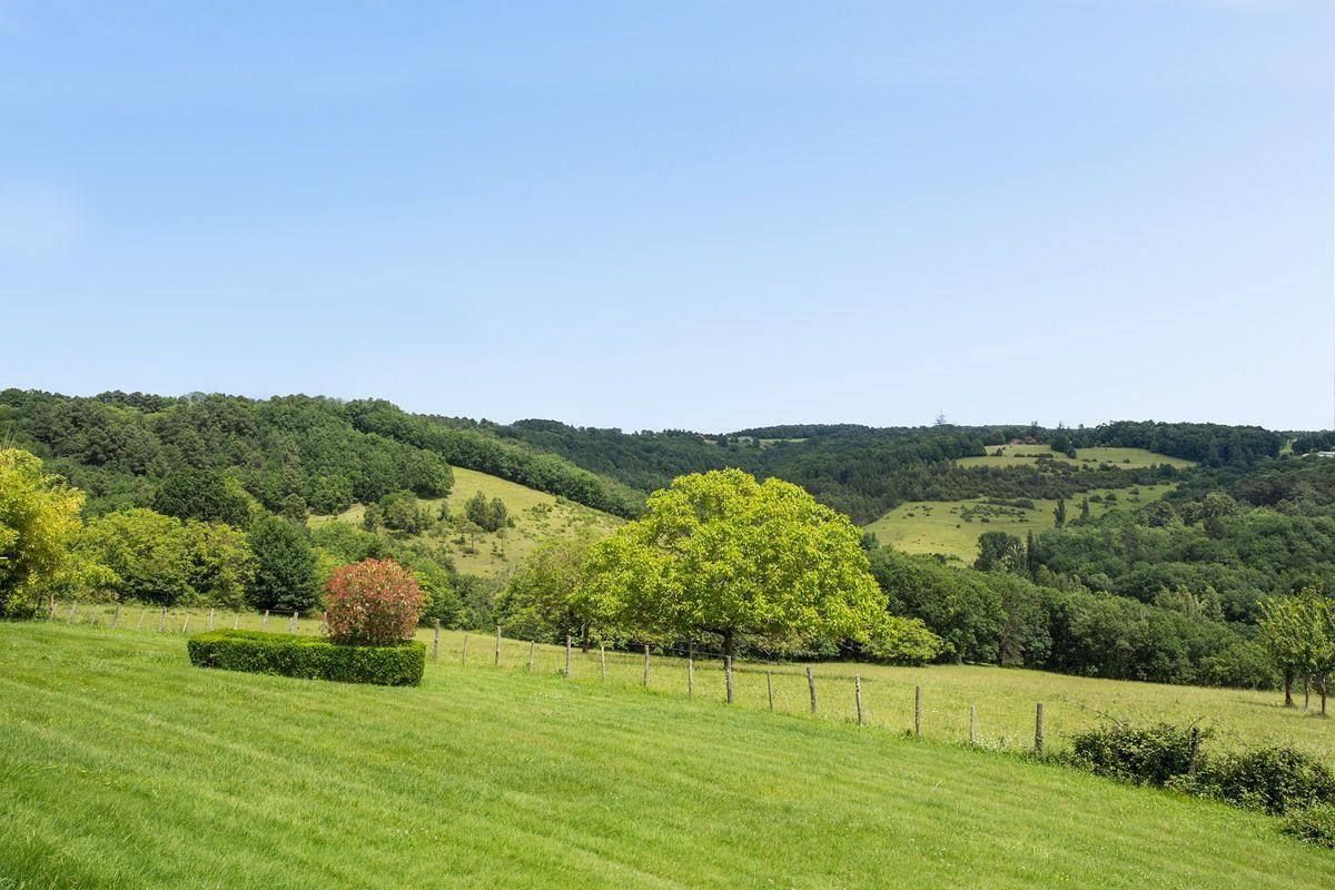 Les Rubis in Rouffignac-Saint-Cernin-de-Reilhac, Périgord Noir