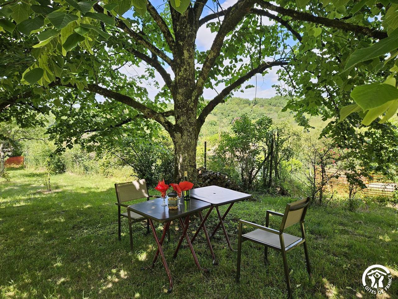 Le Tilleul de Vaour in Vaour, Région d'Albi