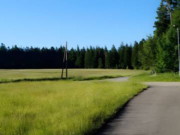 Ferienwohnung für 5 Personen in Kniebis, Freudenstadt, Bild 3