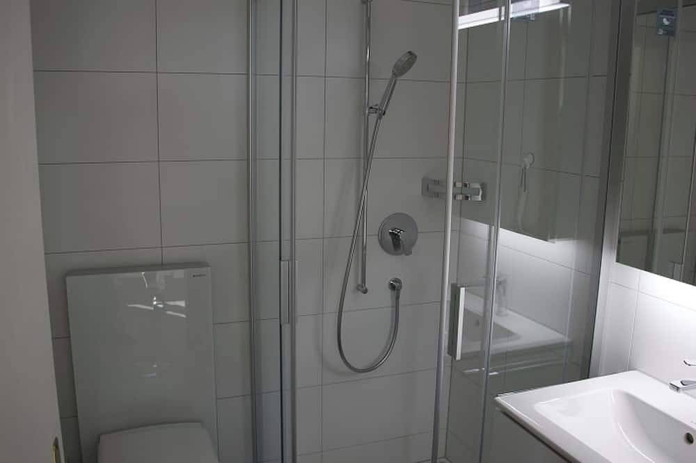 Entire apartment, Müller, (Camischolas/Sedrun), 655.01 in Sedrun, Tujetsch