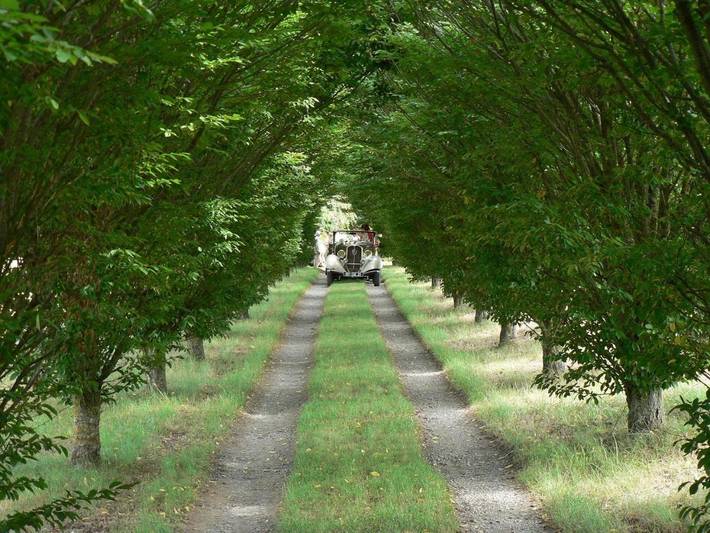 Location de vacances pour 2 personnes, avec vue et jardin à Le Fousseret - 3