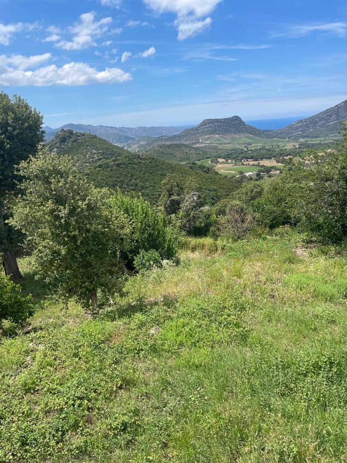Location de vacances pour 2 personnes, avec piscine et terrasse à Poggio-d'Oletta - 3