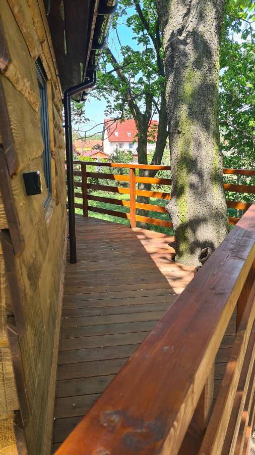 Tree Vill in Dolny Śląsk