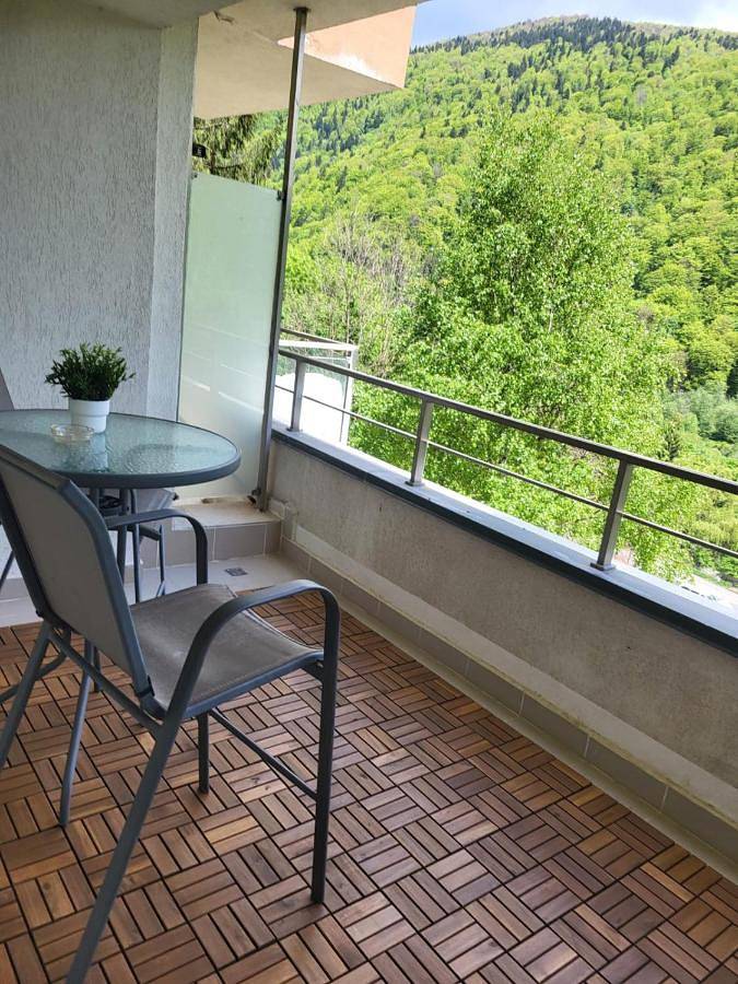 Gîte pour 3 personnes, avec vue et jardin à Sinaia - 2