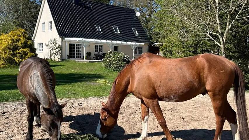 Ferienwohnung für 3 Personen, mit Garten, mit Haustier in Worpswede - 4