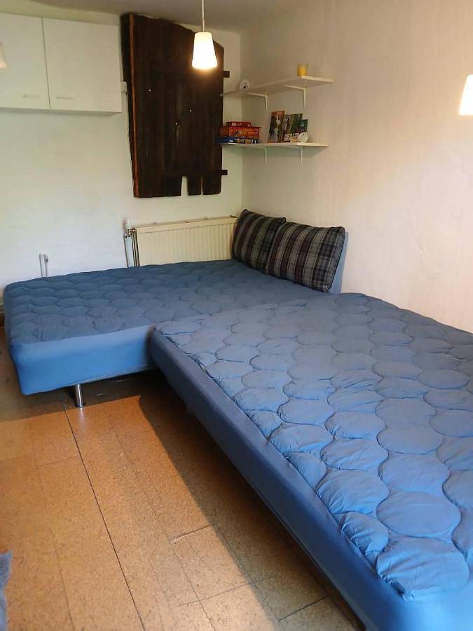 Ferienwohnung für 4 Personen, mit Terrasse und Garten sowie Ausblick in Velgast - 4