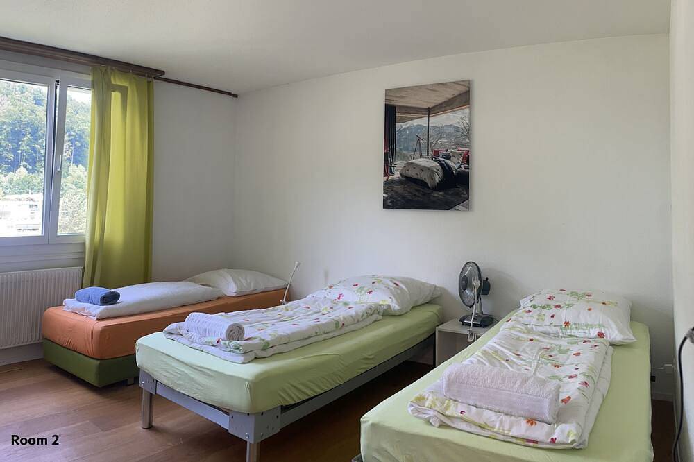 Entire apartment, 3 room apartment with garage and bus pass in Lucerne, Lake Lucerne
