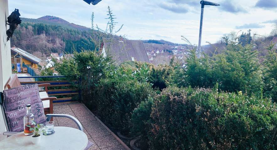 Ferienhaus für 4 Personen, mit Terrasse und Garten im Dahner Felsenland - 4