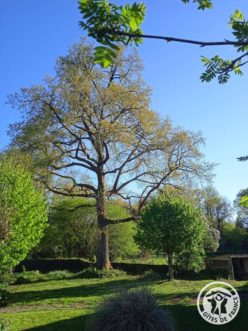Gîte d'Ausina in Saint-Pardoux-la-Croisille, Región de Tulle