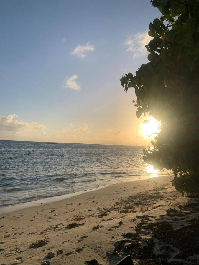 Maison d’hôte pour 2 personnes, avec jardin et piscine à Bénesse-Maremne - 2