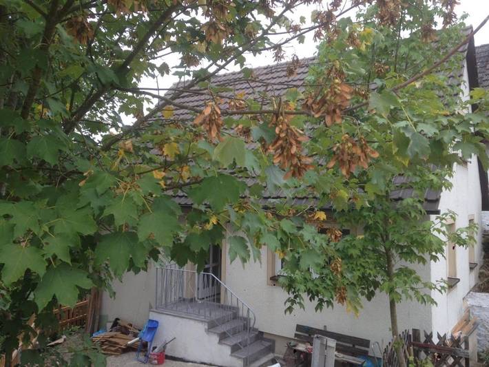 Ferienhaus für 5 Personen, mit Terrasse und Garten sowie Ausblick in Aufseß - 3