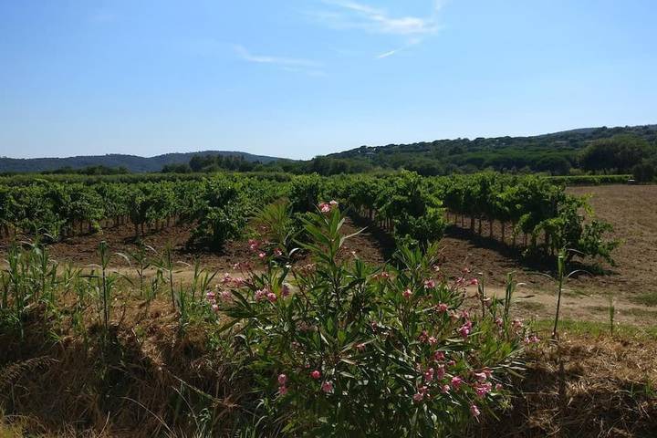 Gîte pour 2 personnes, avec vue et jardin dans Pampelonne - 4