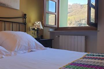 Casa Rural para 9 Personas en Cangas del Narcea, Cordillera Cantábrica, Foto 1