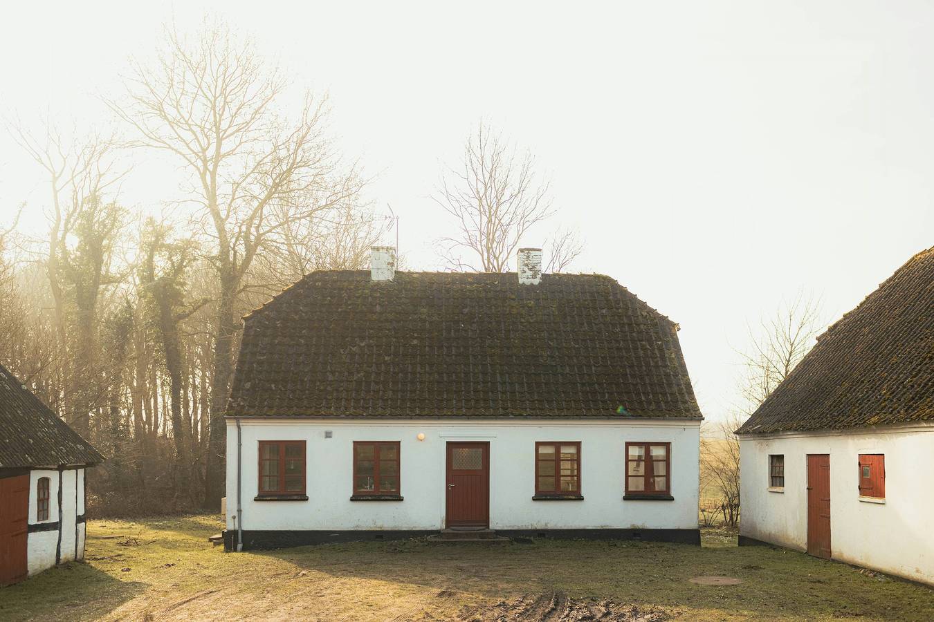 Kvæg og heste på Lundstedet ved Skovsgaard in Rudkøbing, Langeland