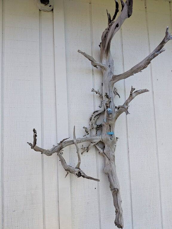 Lakefront Cottage mit atemberaubender Aussicht! Wandern. Paddelboot. Doc. Angeln. W-lan in Wells (VT), Rutland County