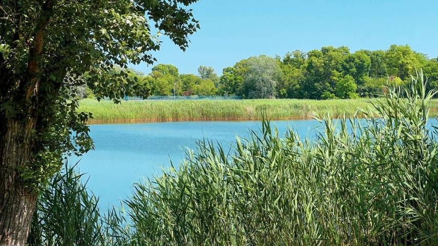 Bungalow für 4 Personen, mit Garten in Ungarn - 2