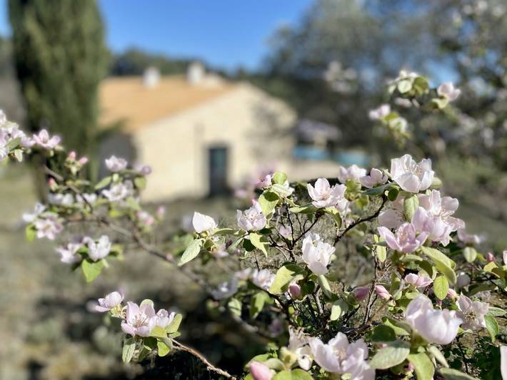 Location de vacances pour 2 personnes, avec jardin et piscine à Lauris - 3