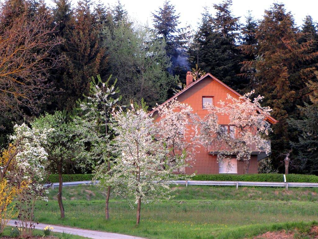 Ganze Ferienwohnung, Haus Hollerbusch - 1x FeWo Og in Neunburg vorm Wald, Naturpark Oberpfälzer Wald