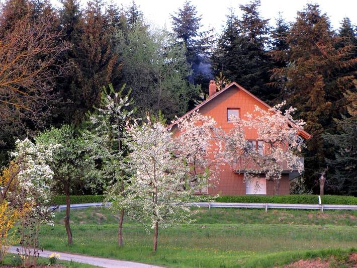 Ferienwohnung für 6 Personen, mit Balkon und Garten, kinderfreundlich - 1