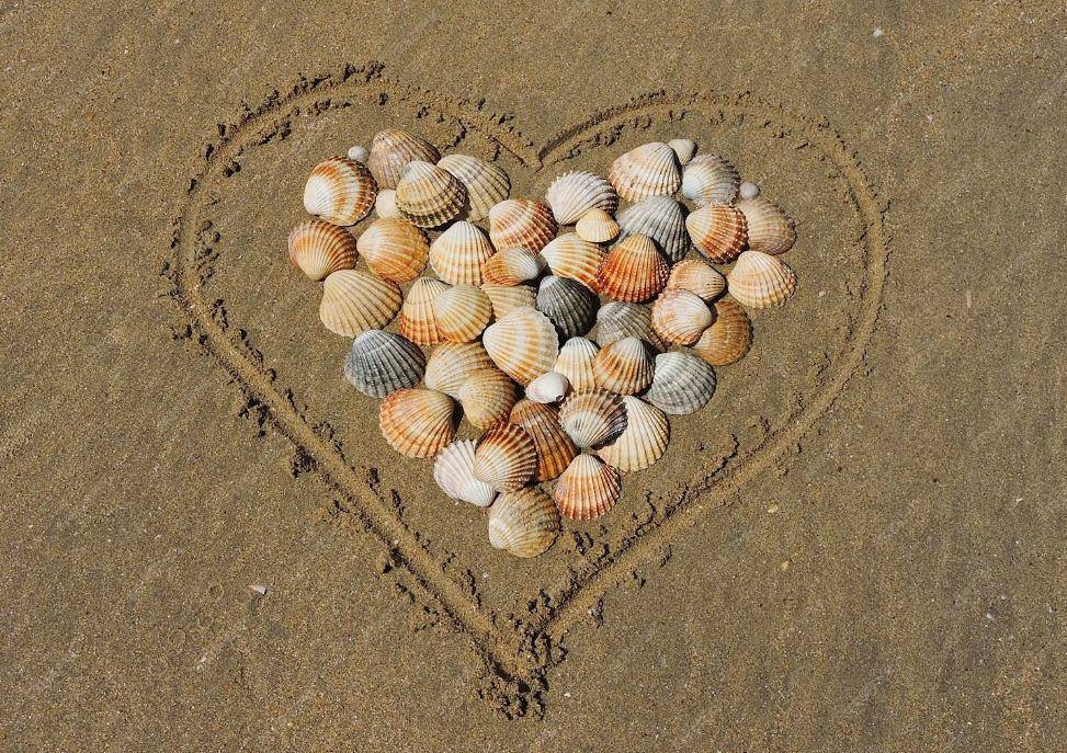 Ferienhaus Muschelschubser in Dangast – nur 150 m zum Strand, Garten & Wlan in Nordseebad Dangast, Varel