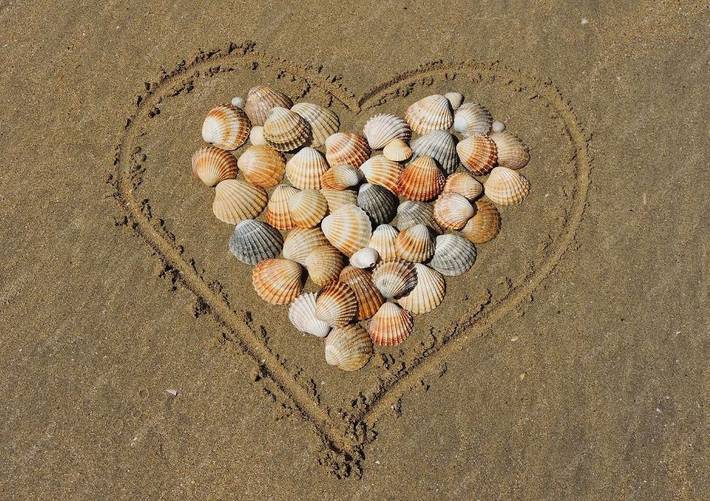 Ferienhaus für 6 Personen, mit Garten in Varel - 3
