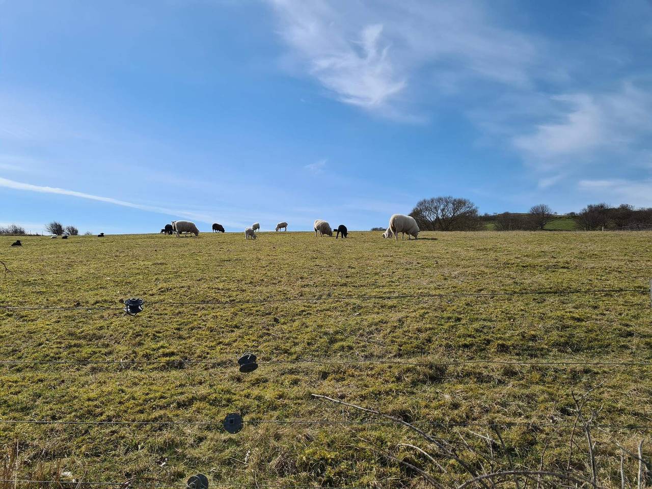 4 person feriebolig i Martofte-By Traum in Fyns Hoved, Martofte