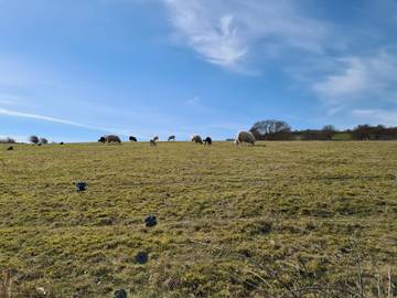 Feriehus til 4 Personer i Martofte, Kerteminderegionen, Bilde 4