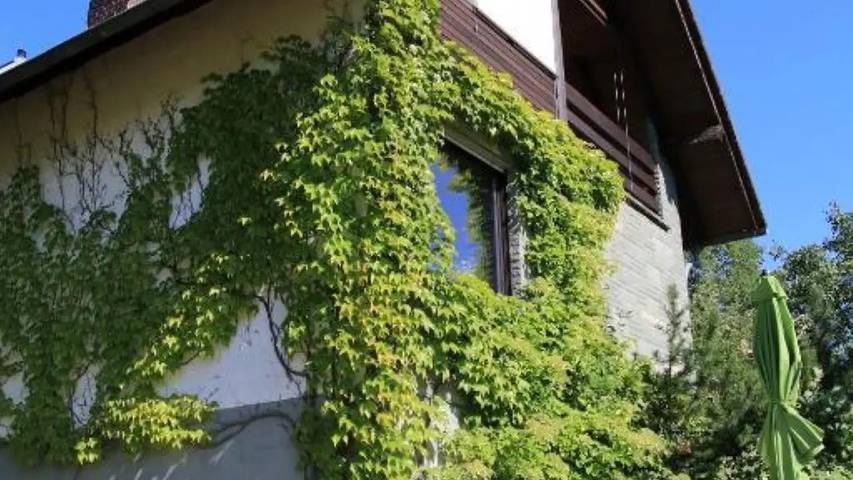 Ferienwohnung für 2 Personen, mit Garten in Lügde - 3