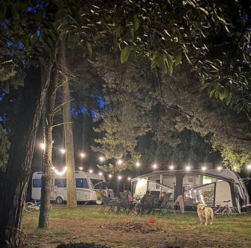 Camping voor 4 Personen in Sottrum, Nedersaksen, Afbeelding 2