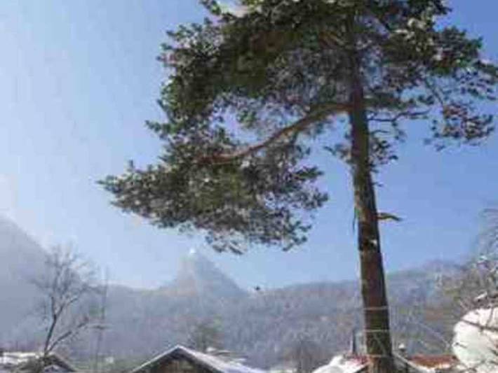 Ferienwohnung für 3 Personen, mit Ausblick und Balkon in Kreuth - 4