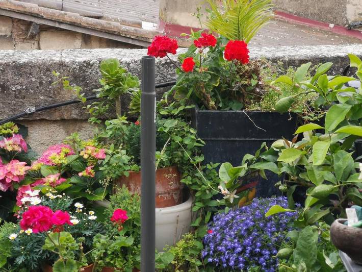 Gîte pour 4 personnes, avec terrasse dans Palais des Papes - 3